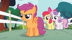 Size: 1920x1080 | Tagged: safe, derpibooru import, screencap, apple bloom, scootaloo, sweetie belle, earth pony, pegasus, pony, unicorn, flight to the finish, season 4, apple bloom's bow, blank flank, bow, cute, cutie mark crusaders, female, filly, foal, hair bow, trio