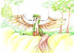 Size: 2560x1828 | Tagged: safe, artist:freeponypictures, derpibooru import, oc, oc only, pegasus, pony, antenna, dipole, female, giant pony, macro, mare, mouth hold, radio, spread wings, trap dipole, tree, wings, wire antenna