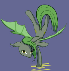 Size: 661x680 | Tagged: safe, artist:taffy, derpibooru import, oc, oc only, oc:poison, bat pony, balancing, bat pony oc, bat wings, blue background, female, looking at you, mare, simple background, solo, spread wings, tail, wings