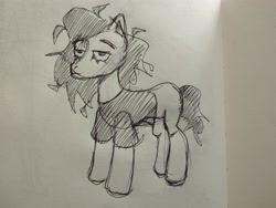 Size: 4080x3072 | Tagged: safe, artist:danremixxx, derpibooru import, oc, oc only, earth pony, pony, concave belly, pencil drawing, photo, sketch, solo, standing, traditional art, unamused