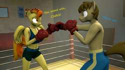 Size: 1920x1080 | Tagged: safe, artist:fuzeamateursfm, derpibooru import, part of a set, spitfire, oc, oc:chocolate chips, anthro, earth pony, pegasus, 3d, anthro oc, boxing, boxing gloves, boxing ring, canon x oc, dialogue, duo, duo male and female, female, firechips, male, shipping, source filmmaker, sports, straight, text