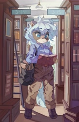 Size: 2657x4096 | Tagged: safe, artist:saxopi, derpibooru import, oc, oc only, semi-anthro, bag, book, bookshelf, ladder, library, solo