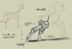 Size: 3508x2421 | Tagged: safe, artist:felfox, derpibooru import, earth pony, pony, robot, bone, robotic legs, skeleton, solo