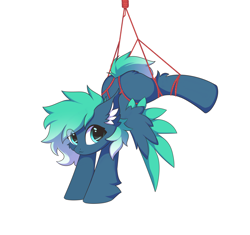 Size: 8480x7981 | Tagged: safe, artist:verlista, derpibooru import, oc, oc only, oc:kishy, pegasus, pony, bondage, female, looking at you, mare, rope, rope bondage, shibari, simple background, solo, spread wings, white background, wings