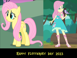 Size: 1600x1200 | Tagged: safe, artist:mlpfan3991, derpibooru import, fluttershy, bird, human, pegasus, equestria girls, 2023, clothes, dress, female, fluttershy day, mare, sandals, shoes, solo, wrong aspect ratio