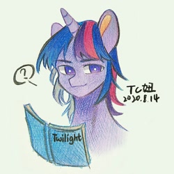 Size: 1232x1232 | Tagged: safe, artist:tcniu, derpibooru import, twilight sparkle, pony, unicorn, bust, male, portrait, rule 63, stallion