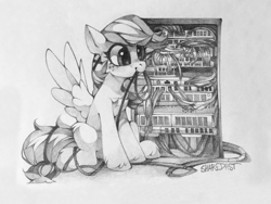 Size: 1920x1440 | Tagged: safe, artist:share dast, derpibooru import, edit, oc, oc only, oc:summer ray, pegasus, pony, not rainbow dash, server, solo, traditional art, wires