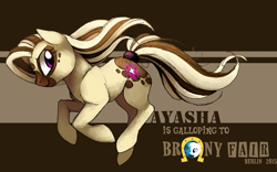 Size: 800x500 | Tagged: safe, artist:ayasha-the-pony, derpibooru import, oc, oc:ayasha, earth pony, pony, brony fair, brony fair 2015, female, mare, solo