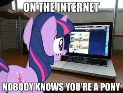 Size: 639x480 | Tagged: safe, artist:mlpmemearchive, derpibooru import, twilight sparkle, unicorn twilight, pony, unicorn, butt, caption, computer, female, image macro, irl, laptop computer, looking at something, mare, meme, photo, plot, ponies in real life, solo, text