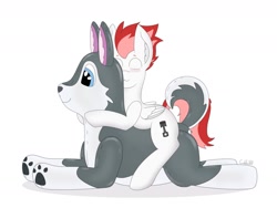 Size: 1280x960 | Tagged: safe, artist:foxxo666, derpibooru import, oc, oc:swift apex, pegasus, pony, hug, inflatable, inflatable husky, inflatable toy, puffypaws, riding, solo, straddling