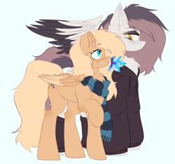 Size: 3200x3000 | Tagged: safe, artist:thieftea, derpibooru import, oc, oc:jeckie, oc:mirta whoowlms, pegasus, pony, clothes, colored wings, duo, duo female, female, multicolored hair, oc x oc, scarf, shipping, simple background, two toned wings, white background, wings