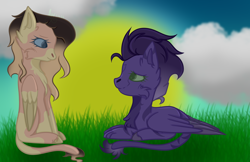 Size: 5400x3500 | Tagged: safe, artist:thecommandermiky, derpibooru import, oc, oc only, hybrid, pegasus, chest fluff, cloud, couple, duo, duo female, female, grass, grass field, happy, hybrid oc, lesbian, long tail, looking at each other, looking at someone, mare, pegasus oc, purple hair, purple mane, shipping, sky, smiling, smiling at each other, spots, spread wings, sunset, tail, wings