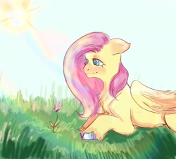 Size: 2048x1856 | Tagged: safe, artist:sleepybooo, derpibooru import, fluttershy, pegasus, pony, female, flower, solo