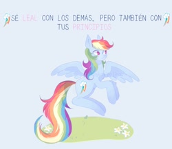 Size: 2048x1781 | Tagged: safe, artist:sadgirl_jvnko, derpibooru import, rainbow dash, pegasus, pony, female, light blue background, mare, simple background, solo, spanish, text