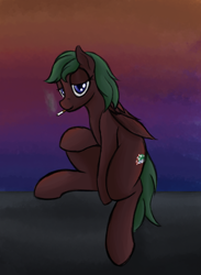 Size: 880x1200 | Tagged: safe, artist:ahorseofcourse, derpibooru import, oc, oc only, oc:chips down, pegasus, pony, cigarette, smoking, solo, sunset