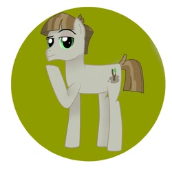 Size: 2000x2000 | Tagged: safe, artist:angul205, derpibooru import, mudbriar, earth pony, pony, male, solo, stallion