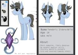 Size: 1280x897 | Tagged: safe, artist:thevixvix, derpibooru import, oc, oc only, oc:tenebris sidera, pony, unicorn, male, reference sheet, simple background, solo, stallion, transparent background