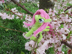 Size: 2684x2013 | Tagged: safe, alternate version, artist:malte279, derpibooru import, part of a series, part of a set, fluttershy, chenille, chenille stems, chenille wire, cherry blossoms, craft, flower, flower blossom, irl, photo, pipe cleaner sculpture, pipe cleaners