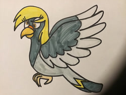 Size: 900x675 | Tagged: safe, artist:tigeressbird324, derpibooru import, derpy hooves, bird, pigeon, birdified, female, marker drawing, solo, species swap, traditional art