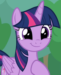 Size: 792x983 | Tagged: safe, derpibooru import, screencap, twilight sparkle, twilight sparkle (alicorn), alicorn, pony, season 9, the ending of the end, spoiler:s09, adorkable, cropped, cute, dork, female, folded wings, happy, hoof on chest, mare, proud, smiling, solo, twiabetes, victory, wings