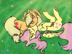 Size: 1600x1200 | Tagged: safe, artist:midnightblack_21, derpibooru import, applejack, fluttershy, earth pony, pegasus, pony, appleshy, duo, eyes closed, female, field, flower, grass, lesbian, lying down, on back, prone, shipping, sunlight