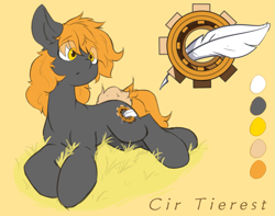 Size: 2713x2142 | Tagged: safe, artist:cirtierest, derpibooru import, oc, oc only, oc:cir tierest, earth pony, pony, simple background, solo