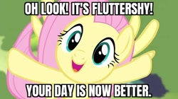 Size: 640x359 | Tagged: safe, derpibooru import, edit, edited screencap, screencap, fluttershy, pegasus, pony, bronybait, caption, fluttershy day, image macro, looking at you, open mouth, open smile, smiling, subverted meme, text, your day is ruined