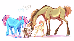 Size: 2048x1138 | Tagged: safe, artist:shirecorn, derpibooru import, carrot cake, cup cake, pound cake, pumpkin cake, earth pony, pegasus, pony, unicorn, beak, cake twins, female, foal, fraternal twins, group, horn, leonine tail, male, redesign, siblings, simple background, tail, toes, twins, white background, wings