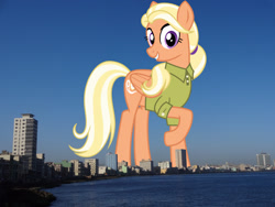 Size: 1920x1440 | Tagged: safe, artist:cheezedoodle96, derpibooru import, edit, editor:jaredking779, mane allgood, pegasus, pony, clothes, cuba, female, folded wings, giant pegasus, giant pony, giantess, grin, havana, highrise ponies, irl, looking at you, macro, mare, mega giant, photo, ponies in real life, raised hoof, raised leg, shirt, smiling, solo, story included, wings