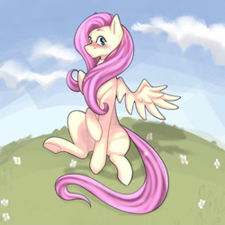 Size: 962x963 | Tagged: safe, artist:patheticllamas, derpibooru import, fluttershy, pegasus, pony, blushing, cloud, cute, female, flower, flustered, grass, hill, looking at you, mare, shyabetes, sitting, sky, solo, spread wings, wings