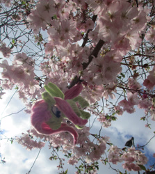 Size: 2736x3072 | Tagged: safe, alternate version, artist:malte279, derpibooru import, part of a series, part of a set, fluttershy, pony, chenille, chenille stems, chenille wire, cherry blossoms, cherry tree, craft, flower, flower blossom, irl, photo, pipe cleaner sculpture, pipe cleaners, tree