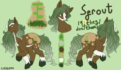 Size: 2048x1199 | Tagged: safe, artist:calzonedraws, derpibooru import, oc, oc only, earth pony, pony, reference sheet