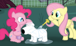 Size: 3524x2174 | Tagged: safe, artist:porygon2z, derpibooru import, fluttershy, pinkie pie, dog, earth pony, pegasus, pony, brian griffin, crossover, family guy, outdoors, soap, trio, washing