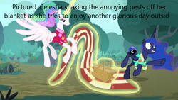 Size: 1280x720 | Tagged: safe, derpibooru import, screencap, princess celestia, princess luna, alicorn, pony, between dark and dawn, caption, image macro, text