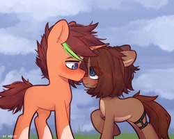 Size: 2500x2000 | Tagged: safe, artist:shelti, derpibooru import, oc, oc only, oc:owl, earth pony, unicorn, blushing, cloud, coat markings, colored pupils, commission, countershading, duo, ears back, female, grass, horn, looking at each other, looking at someone, male, mare, messy mane, messy tail, outdoors, raised hoof, raised leg, shipping, short tail, socks (coat marking), stallion, standing, straight, tail