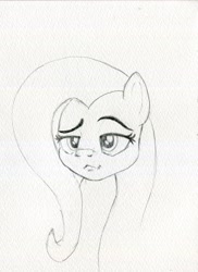 Size: 2960x4055 | Tagged: safe, artist:invalid-david, derpibooru import, fluttershy, pegasus, pony, monochrome, pencil drawing, sketch, smiling, smirk, solo, traditional art