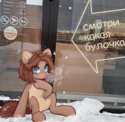 Size: 1011x982 | Tagged: safe, artist:shelti, derpibooru import, oc, oc only, oc:owl, earth pony, pony, :p, breath, colored pupils, countershading, cyrillic, daytime, female, mare, outdoors, real life background, sitting, snow, solo, tongue, tongue out