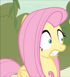 Size: 381x415 | Tagged: safe, derpibooru import, screencap, fluttershy, pegasus, pony, sounds of silence, cropped, scared, solo