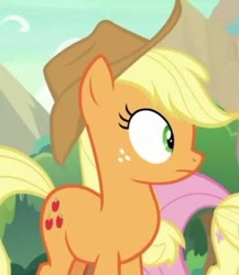 Size: 361x415 | Tagged: safe, derpibooru import, screencap, applejack, fluttershy, earth pony, pony, hat