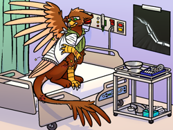 Size: 960x720 | Tagged: safe, artist:thornshadow, derpibooru import, oc, oc only, oc:pavlos, griffon, bed, broken bone, broken wing, cast, eared griffon, griffon oc, hospital, hospital bed, injured, pain, sad, sling, wing cast, wing fluff, wing sling, wings, x-ray