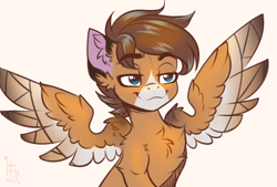 Size: 3260x2200 | Tagged: safe, artist:falafeljake, derpibooru import, oc, oc only, oc:barnstorme, pegasus, pegasus oc, spread wings, wings