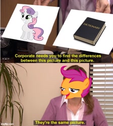 Size: 500x559 | Tagged: safe, derpibooru import, edit, scootaloo, sweetie belle, human, pony, caption, chickun, dictionary, dictionary belle, exploitable meme, faic, forced meme, image macro, irl, irl human, meme, photo, text, they're the same picture