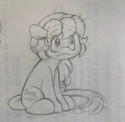 Size: 2048x1988 | Tagged: safe, artist:tamabel, derpibooru import, oc, oc only, earth pony, pony, hat, solo, traditional art