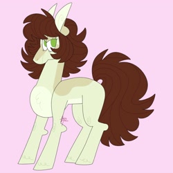 Size: 4000x4000 | Tagged: safe, artist:fizzlefer, derpibooru import, oc, oc only, earth pony, pony, simple background, solo