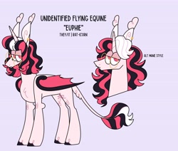 Size: 4096x3469 | Tagged: safe, artist:fizzlefer, derpibooru import, oc, oc only, oc:euphie, alicorn, bat pony, bat pony alicorn, pony, bat wings, glasses, horn, reference sheet, simple background, solo, wings