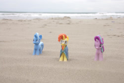 Size: 1280x854 | Tagged: safe, artist:dingopatagonico, derpibooru import, starlight glimmer, sunburst, trixie, unicorn, beach, photo, toy