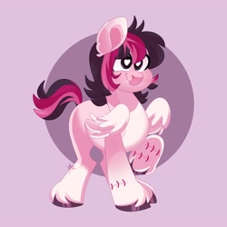 Size: 4000x4000 | Tagged: safe, artist:fizzlefer, derpibooru import, oc, oc only, pegasus, pony, simple background, solo, stitches