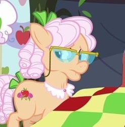 Size: 268x271 | Tagged: safe, derpibooru import, screencap, apple rose, earth pony, pony, apple family reunion, female, frown, glasses, mare, offscreen character, quilt, solo focus