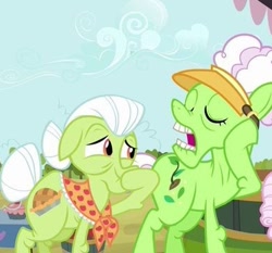 Size: 387x360 | Tagged: safe, derpibooru import, screencap, auntie applesauce, granny smith, earth pony, pony, apple family reunion, cropped, duo, female, mare, open mouth, visor cap