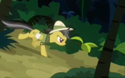 Size: 448x278 | Tagged: safe, derpibooru import, screencap, daring do